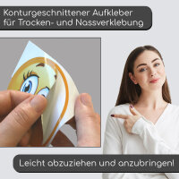 iSecur 2 Stück Rollstuhl-Aufkleber I Ø 20 cm I Behinderten-Aufkleber für Auto, Behinderten-Transport, Rollstuhl-Fahrer I außenklebend I UV- und witterungsbeständig I kfz809