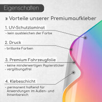 iSecur Aufkleber Bitte 2 Meter Abstand halten I 30 x 10 cm I UV- und wetterfest I Waschanlagen-geeignet I Aufkleber für Rollstuhl-Fahrer Fahrdienst I hin386