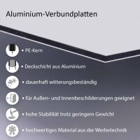 iSecur Steckschild NEIN! I Größe 16 x 24 cm I Hunde koten verboten, keine Hundetoilette I zum Stecken für Rasen Wiese Erde I wetterfest I hin280
