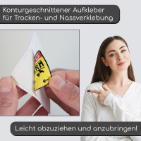 iSecur Rollstuhl-Aufkleber innenklebend I Ø 10 cm I UV- und witterungsbeständig I permanent haftend I Hinweis-Sticker Behinderten-Symbol fürs Auto I kfz398